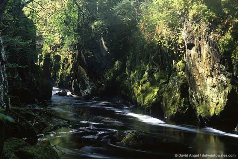 Image of Fairy Glen near Betws-y-Coed