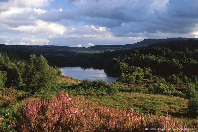 Image of Llyn Elsi lake above Betws-y-Coed
