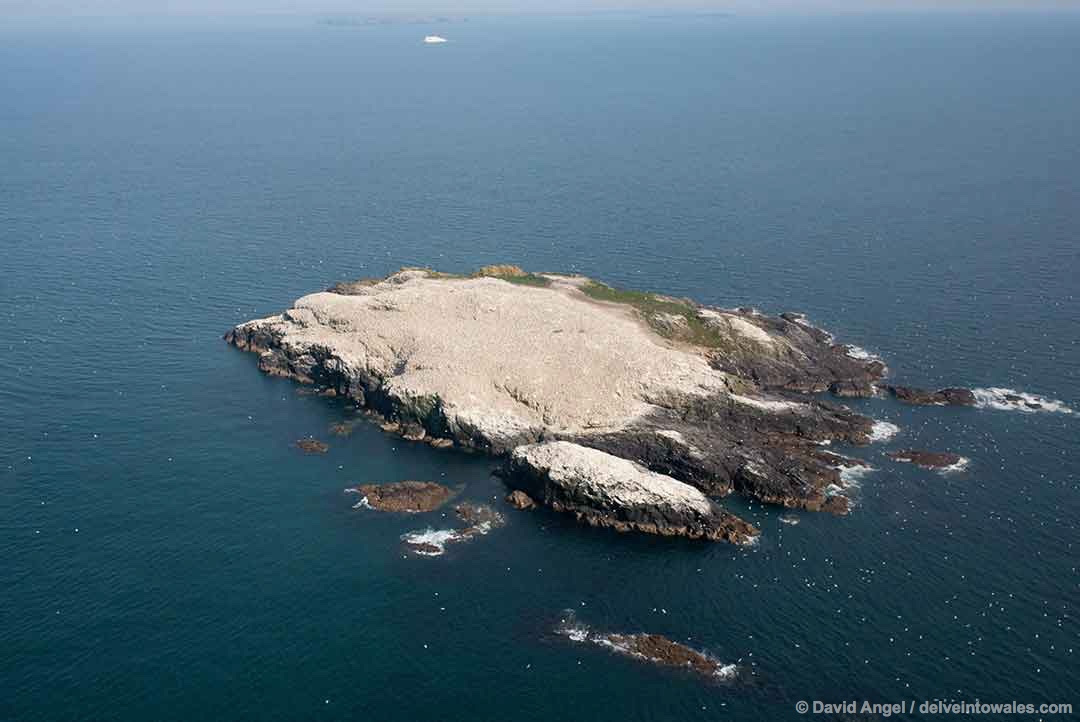 Image of Grassholm Island, Pembrokeshire, Wales