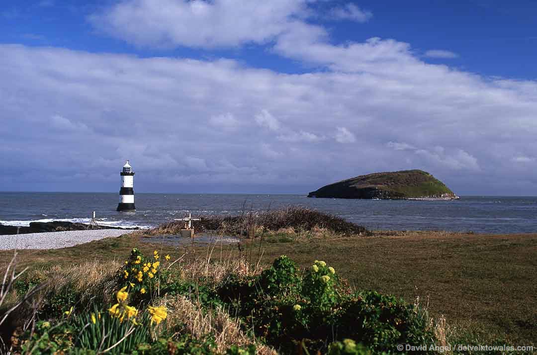 Image of Puffin Island, North Wales