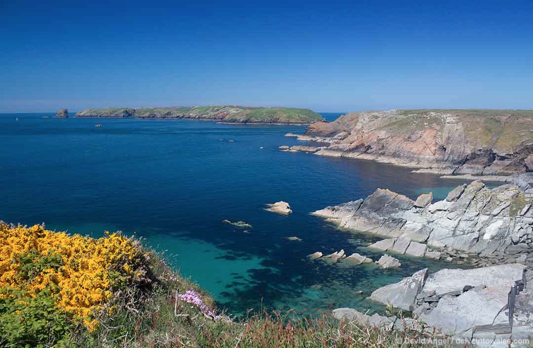 Image of Skomer Island in Pembrokeshire